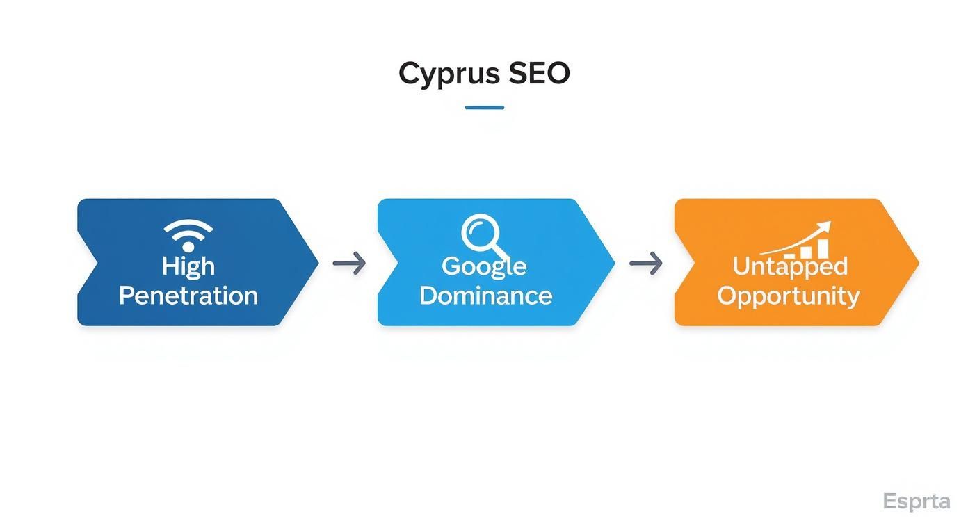 Infographic showing the SEO process flow in Cyprus, highlighting high internet penetration, Google's dominance, and the resulting untapped opportunity for businesses.