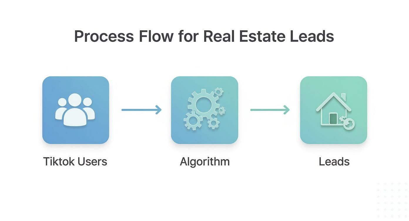 Infographic about tiktok ads for real estate